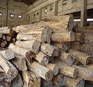 ��ľԭľ��Ԕ����B