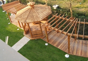 ����ľ��Ԕ��(x��)��B