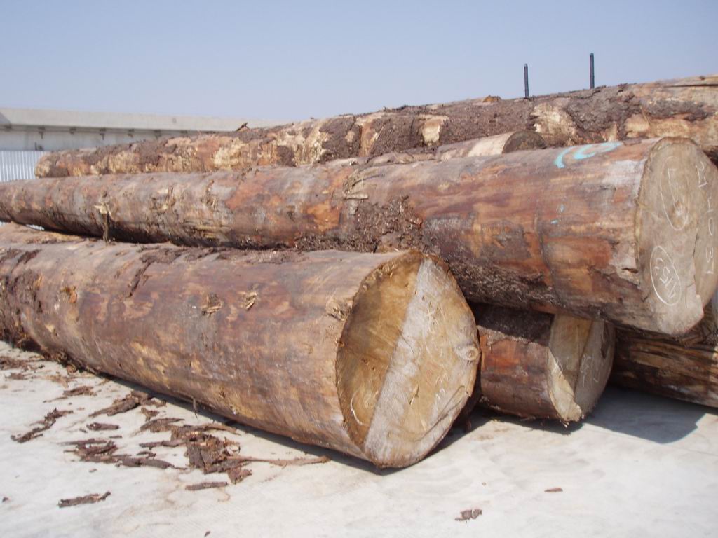 �ձ���ɼRϵ��