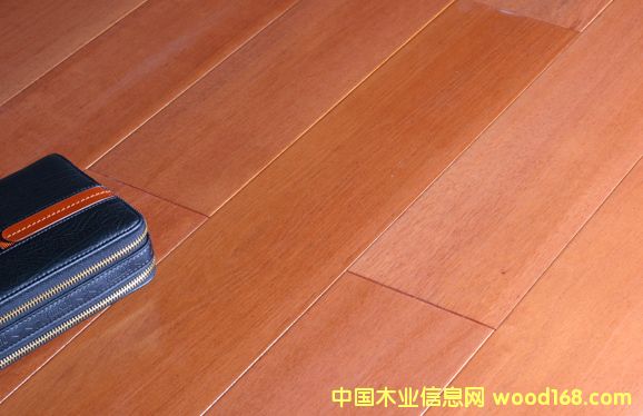 ������ľ