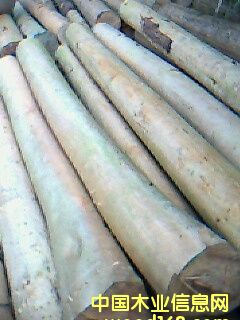 ��(y��u)�|(zh��)��ɼ��Ԕ����B