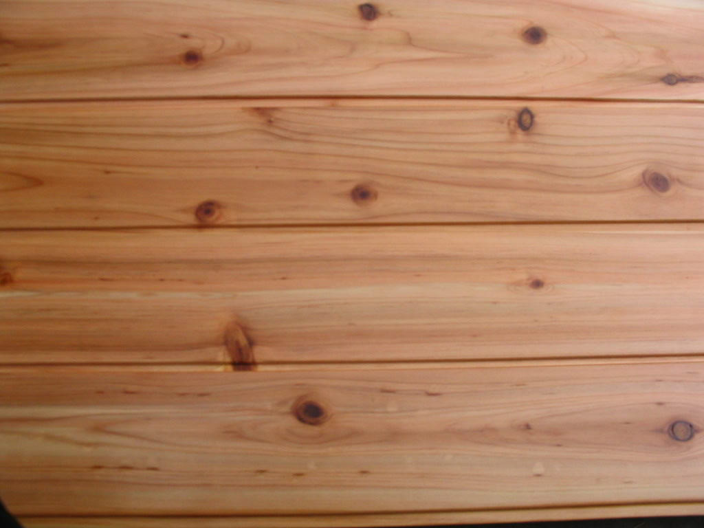 ���ڰ��Ԕ��(x��)��B