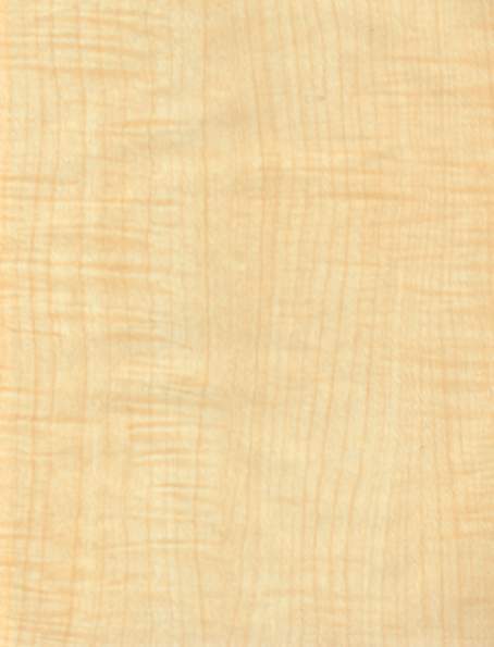 �M�ڗ�Ӱ����