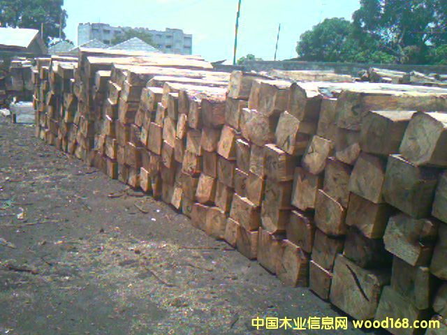 �������Ԕ��(x��)��B