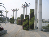 ���w���������w������Ԕ��(x��)��B