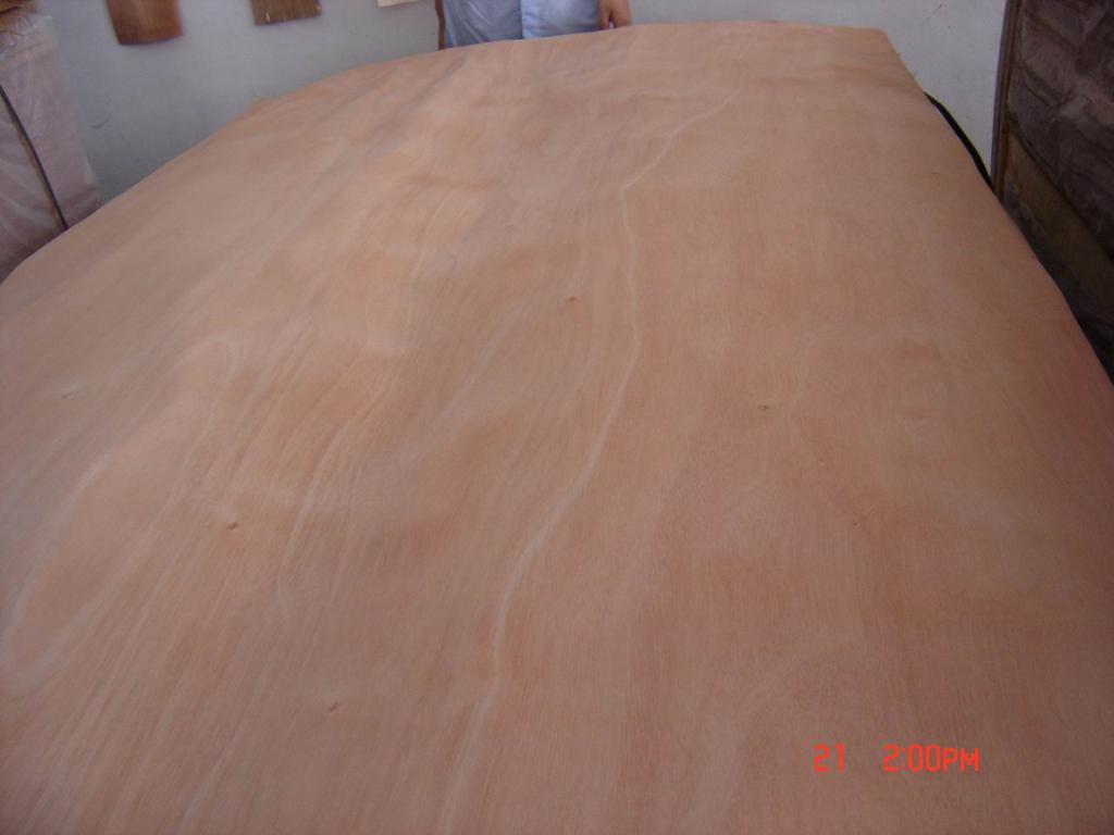 �c���鿴okoume veneer�Ŵ�DƬ
