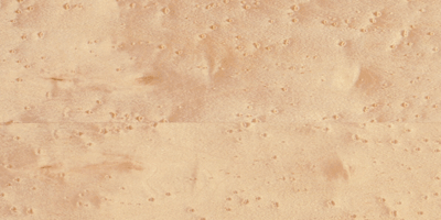 ȸ�ۗ�ľ��Ԕ��(x��)��B