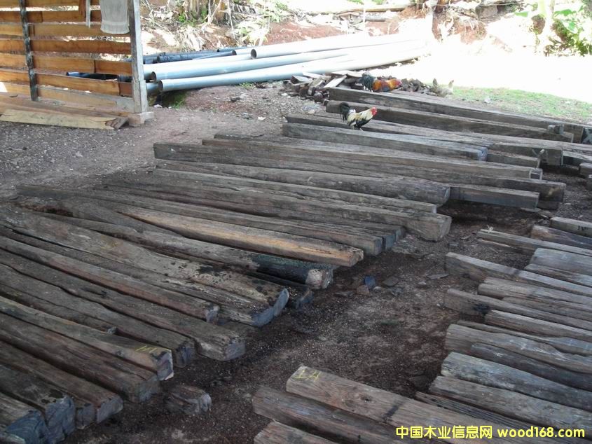 ӡ���̴ľ��Ԕ��(x��)��B