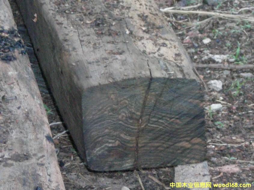 ��̴ebony��Ԕ��(x��)��B