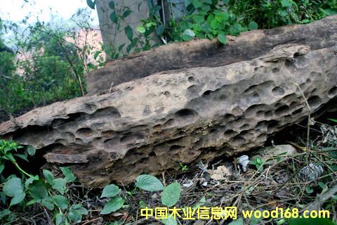 ꎳ�ľ-4��Ԕ��(x��)��B