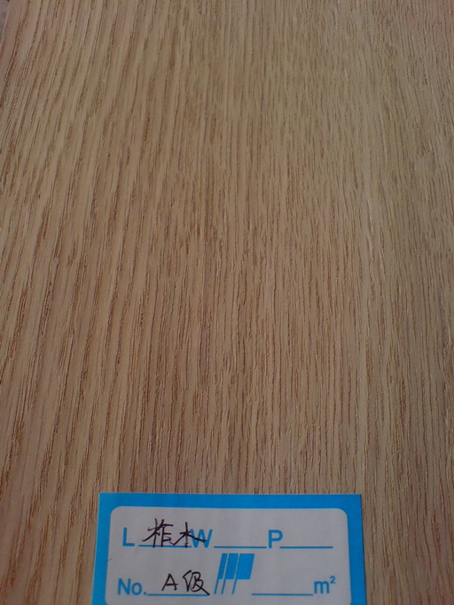 ��ľ�ذ���ľƤ��Ԕ��(x��)��B