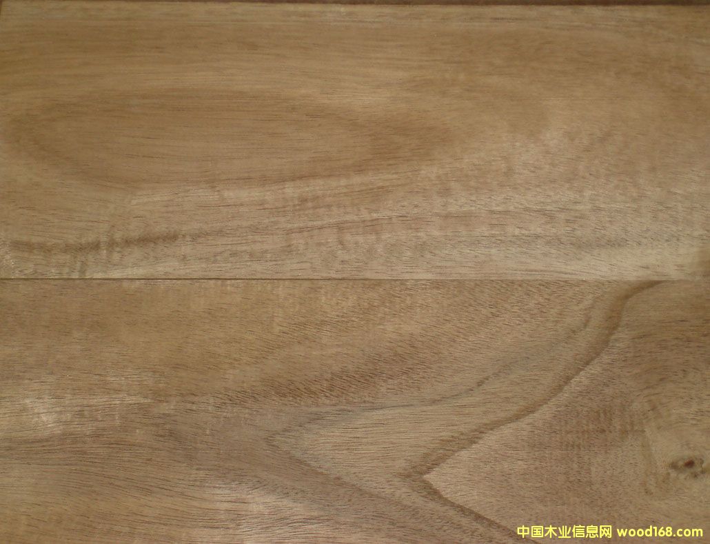 ��˼ľľ�����ذ��ϵ�Ԕ����B