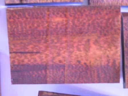 ��ľ��Ƭ��Ԕ��(x��)��B