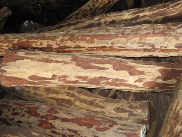 ���~��̴(С�~�t̴)��Ԕ��(x��)��B