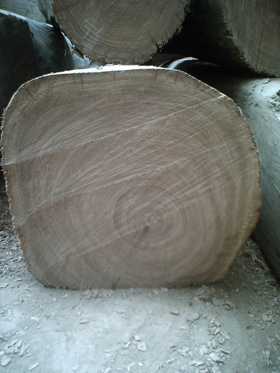 ����ľ��