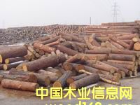 ���~��ԭľ��Ԕ����B