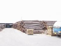 ���ڴ��ŵ�Ԕ����B