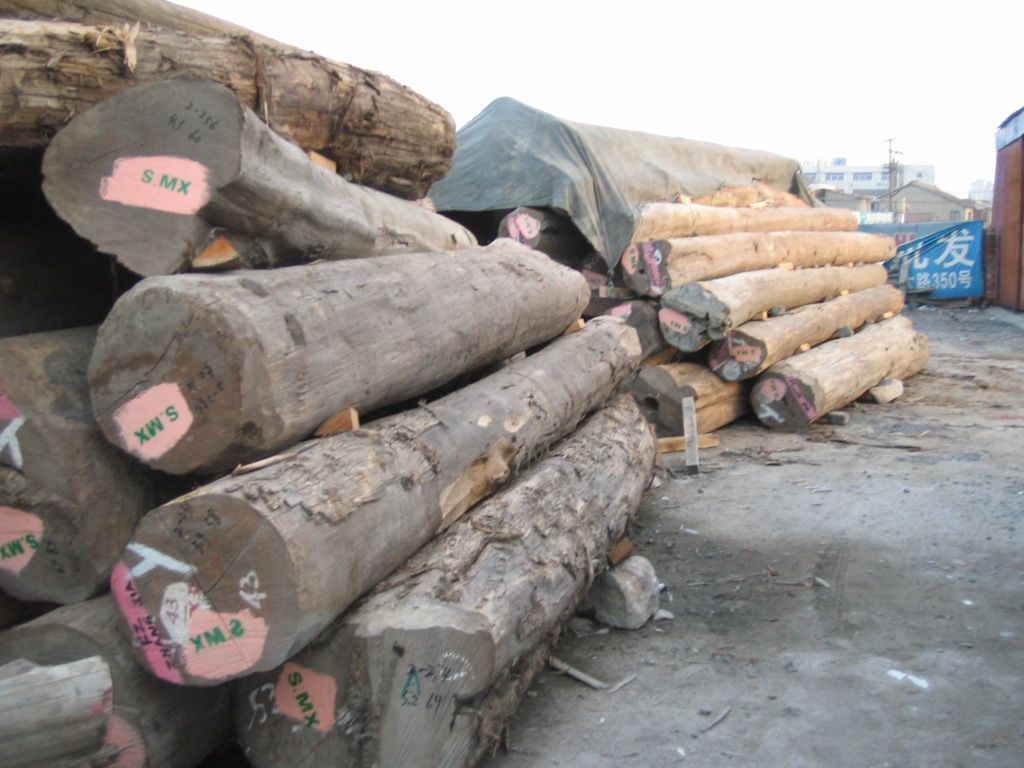 �c���鿴��ľ�Ŵ�DƬ