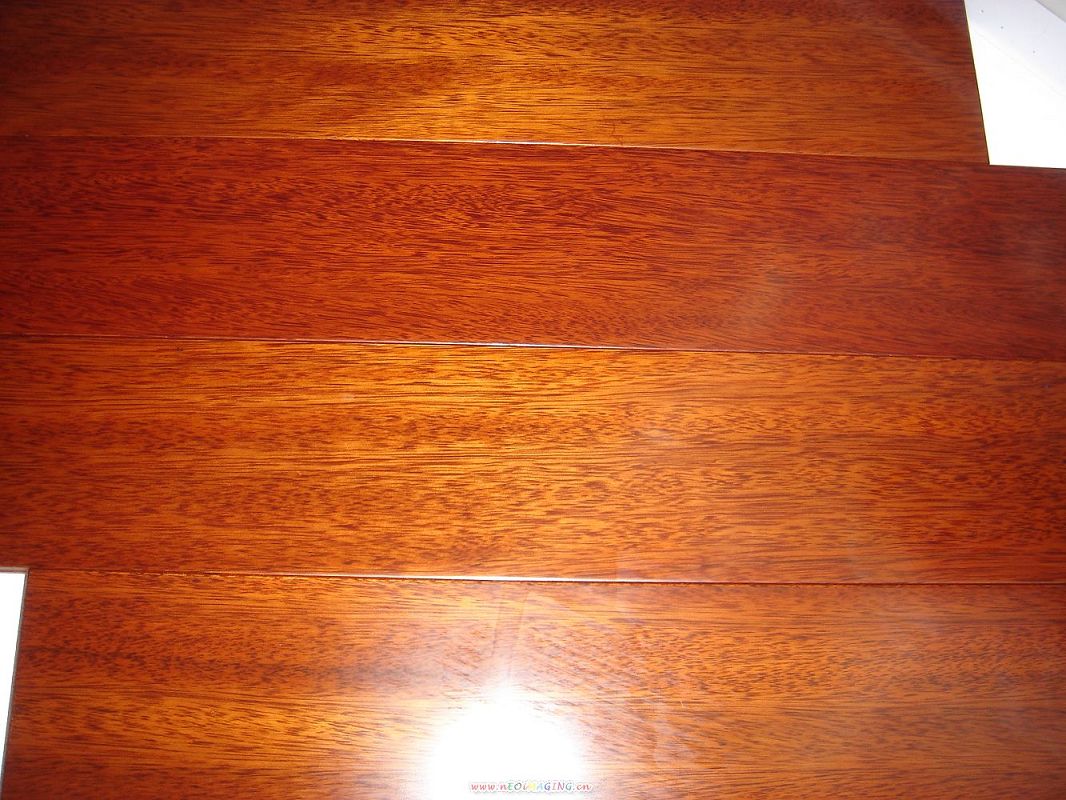 ���}��(sh��)ľ�ذ��Ԕ��(x��)��B