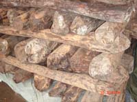 С�~��̴��Ԕ��(x��)��B