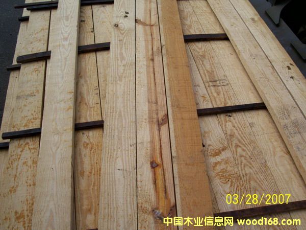 Pine��Ԕ��(x��)��B