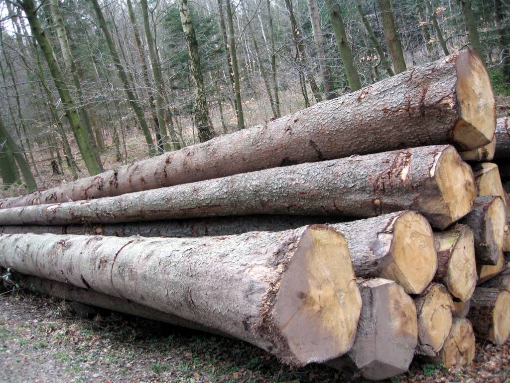 ��ľ��Ԕ����B