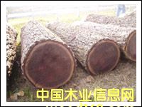 �c(di��n)���鿴�����ں���ԭľ�Ŵ�DƬ