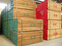 �c(di��n)���鿴�ں��Ұ�ķŴ�DƬ