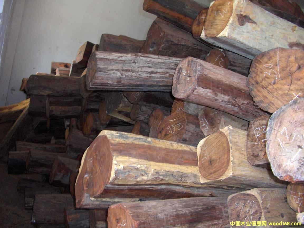 �t��֦��Ԕ��(x��)��B