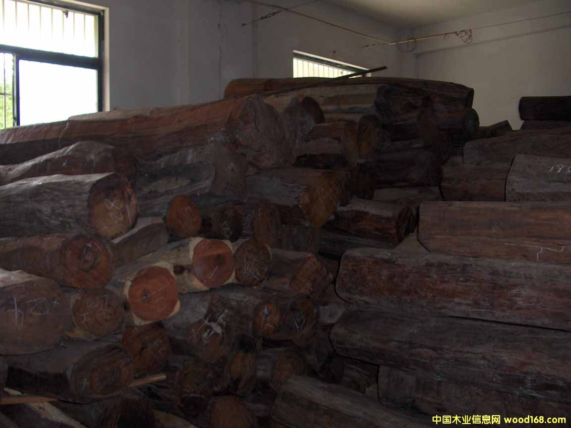 �t��֦��Ԕ��(x��)��B