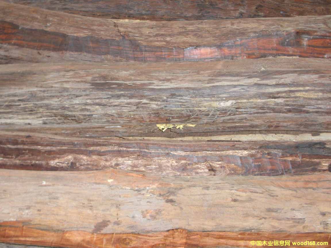 �t��֦��Ԕ��(x��)��B