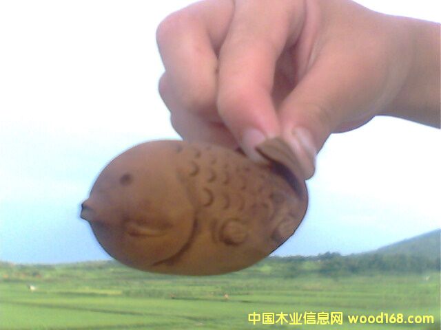 �~��Ԕ��(x��)��B