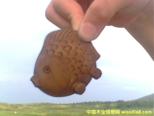 �~��Ԕ��(x��)��B