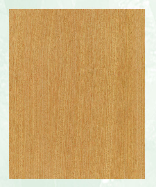 �c(di��n)���鿴ɳ�����Ŵ�DƬ