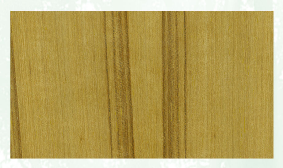 �c(di��n)���鿴��̩�ַŴ�DƬ