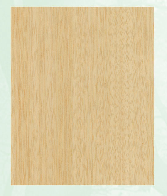 �c(di��n)���鿴�t���ҷŴ�DƬ