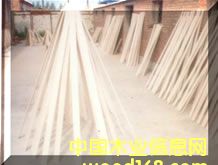 ��(d��)�l��Ԕ��(x��)��B