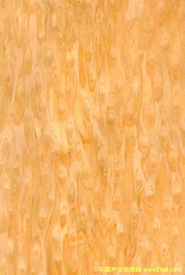 ؈�۵�Ԕ����B