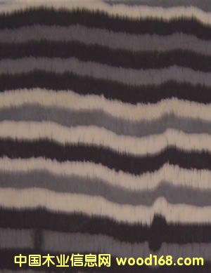 ˮ���y��Ԕ����B