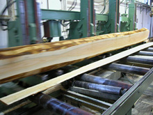 �W�ޙ�ľ��Ԕ����B