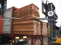 �W�޵�Ԕ����B