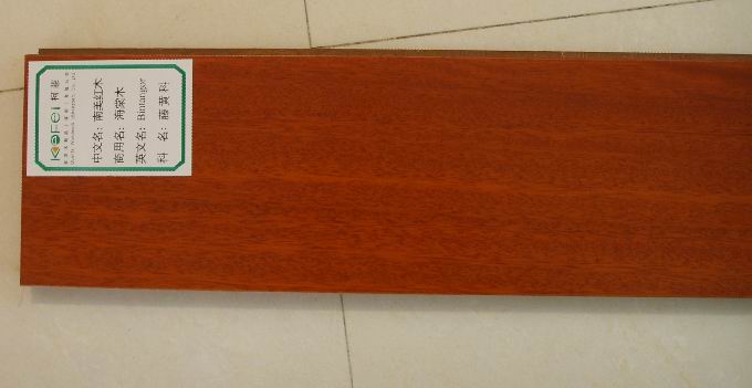 �����tľ��(sh��)ľ��(f��)�ϵذ��Ԕ��(x��)��B