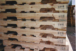 ľ�бP��Ԕ��(x��)��B