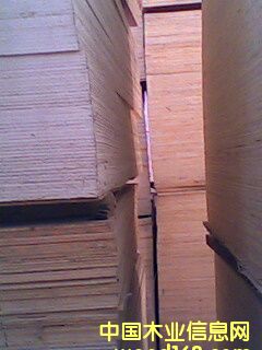 ���Ʒ�z�ϰ��Ԕ��(x��)��B