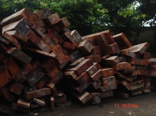 �c(di��n)���鿴Խ�ϲݻ���Ŵ�DƬ