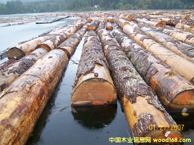 �Fɼ�DƬ��Ԕ��(x��)��B