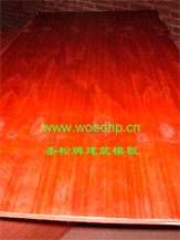 ʥ���ƽ���ģ��,����ľģ��,�����A��,�����z�ϰ��Ԕ��(x��)��B