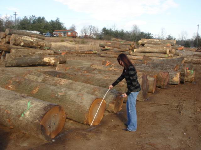 Red Oak��Ԕ����B