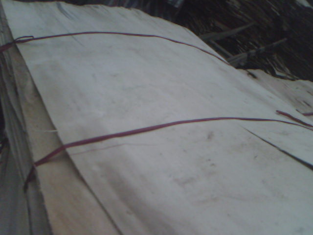 ľƤ��Ԕ����B