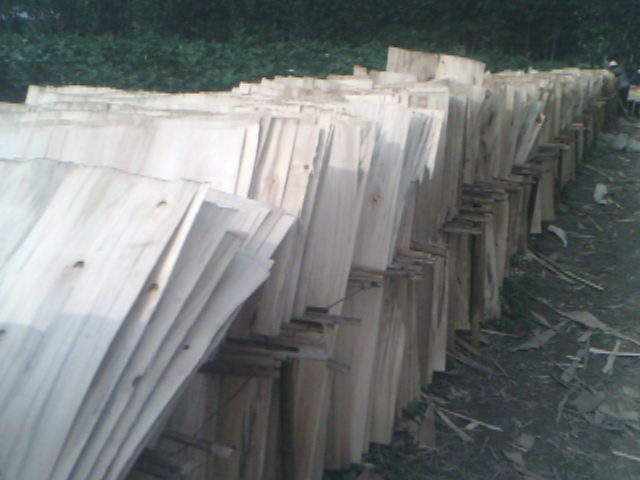 ܇�gһ�ǵ�Ԕ����B